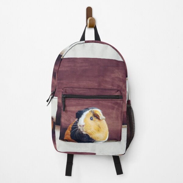 Guinea pig Backpack