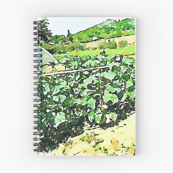 Item preview, Hortus Conclusus: vegetable garden designed and sold by Giuseppe Cocco.