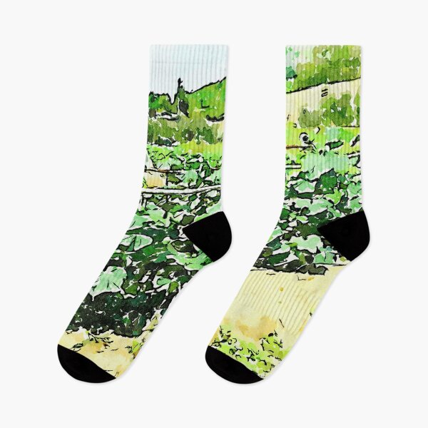 Item preview, Hortus Conclusus: vegetable garden designed and sold by Giuseppe Cocco.