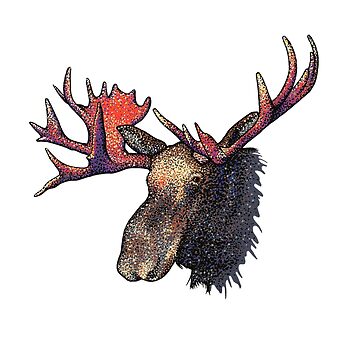 Artwork thumbnail, Moose by theroywood