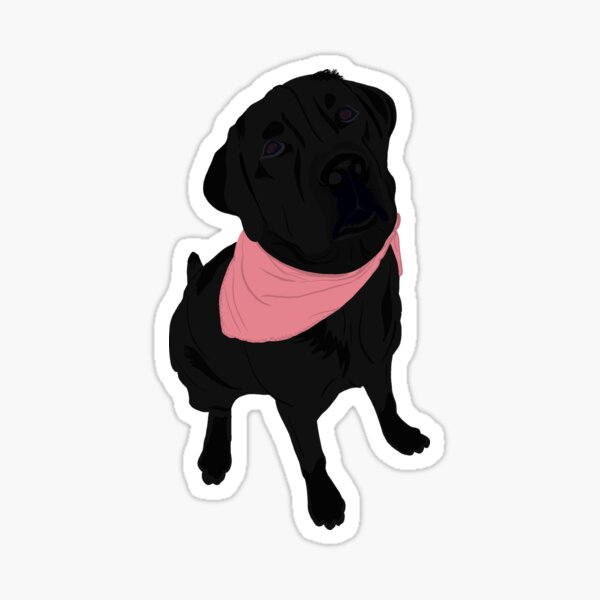 Item preview, Black Labrador - pink Bandana designed and sold by kherrin.
