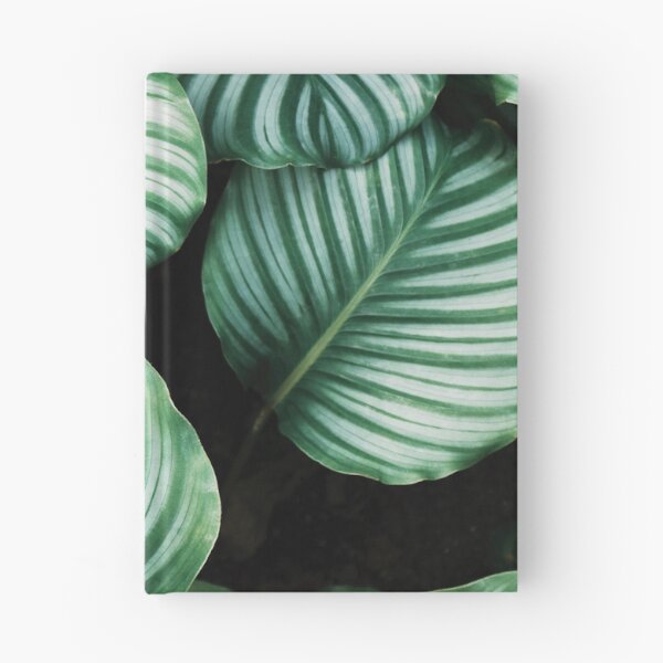 Item preview, Banana leaf designed and sold by covid50.