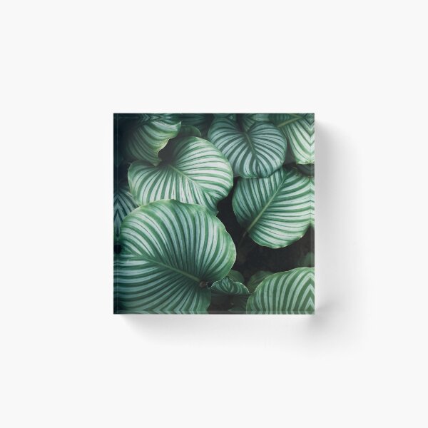 Item preview, Banana leaf designed and sold by covid50.