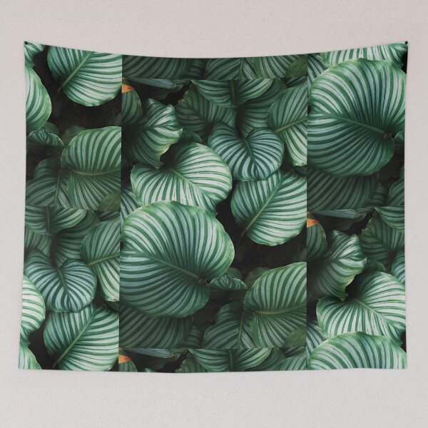 Item preview, Banana leaf designed and sold by covid50.