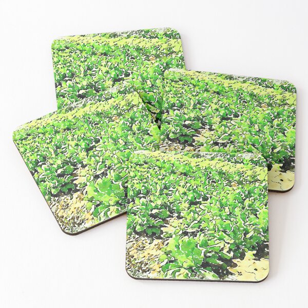 Item preview, Hortus Conclusus: vegetable garden designed and sold by Giuseppe Cocco.