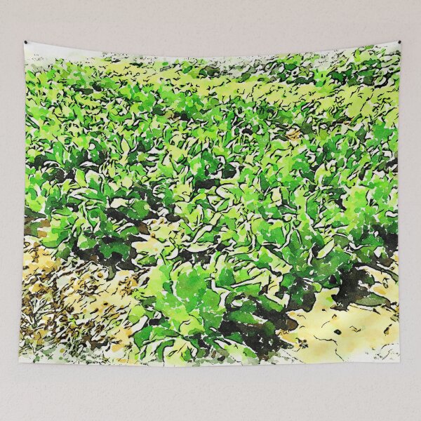 Item preview, Hortus Conclusus: vegetable garden designed and sold by Giuseppe Cocco.