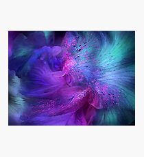 Orchid Moods 3 Photographic Print
