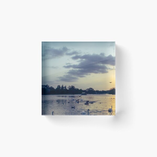 Item preview, Sunset full of life designed and sold by SzendeB.