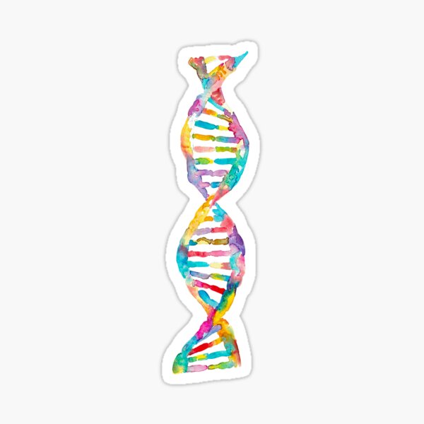 DNA watercolor art Sticker