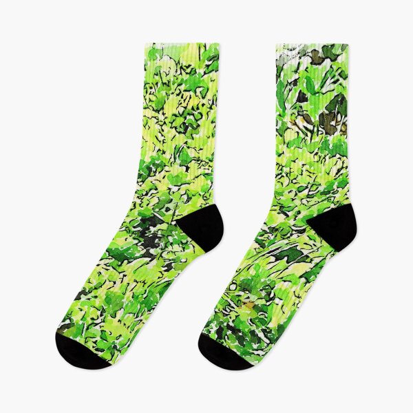 Item preview, Hortus Conclusus: vegetable garden designed and sold by Giuseppe Cocco.