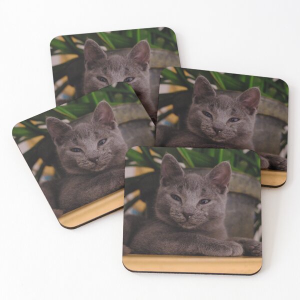 Item preview, This is Pipa designed and sold by Ana Belaj.