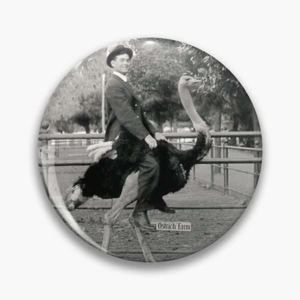 Item preview, 1910 Ostrich Ride  designed and sold by retrophotoworks.
