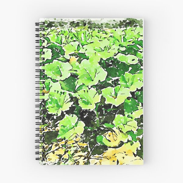 Item preview, Hortus Conclusus: vegetable garden designed and sold by Giuseppe Cocco.