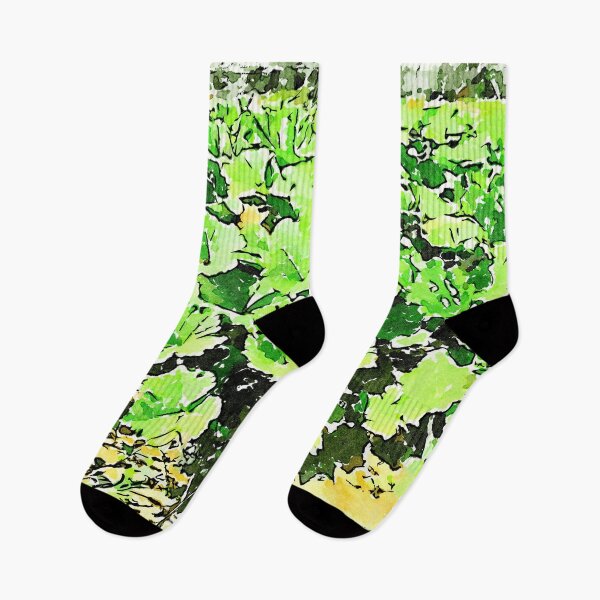 Item preview, Hortus Conclusus: vegetable garden designed and sold by Giuseppe Cocco.