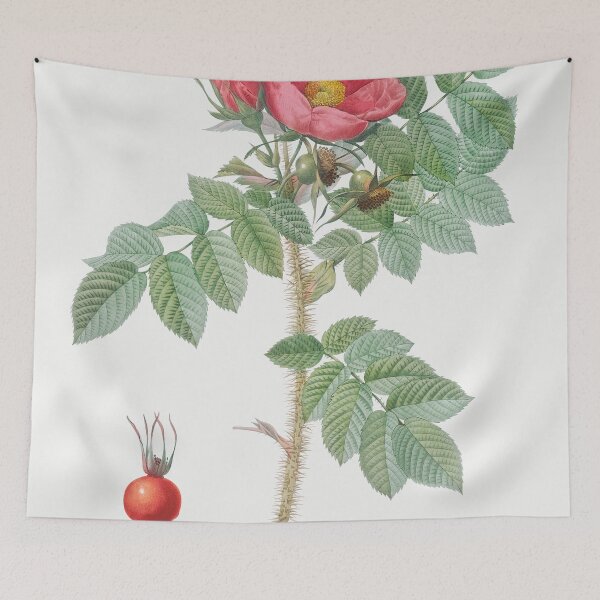Item preview, Les Roses by Pierre-Joseph Redouté designed and sold by EsotericBotanic.