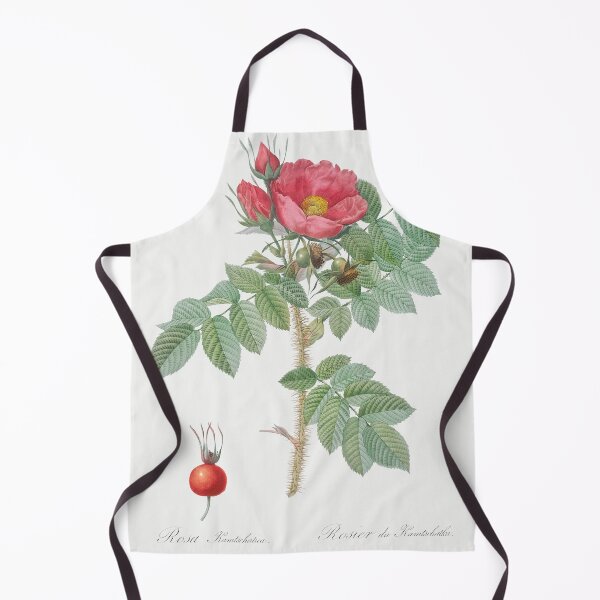 Item preview, Les Roses by Pierre-Joseph Redouté designed and sold by EsotericBotanic.