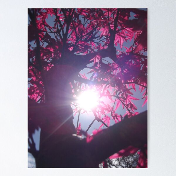 Item preview, Red Dawn designed and sold by Laura May.
