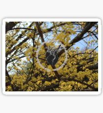 True Nostalgia is an Ephemeral Composition of Disjointed Memories Sticker