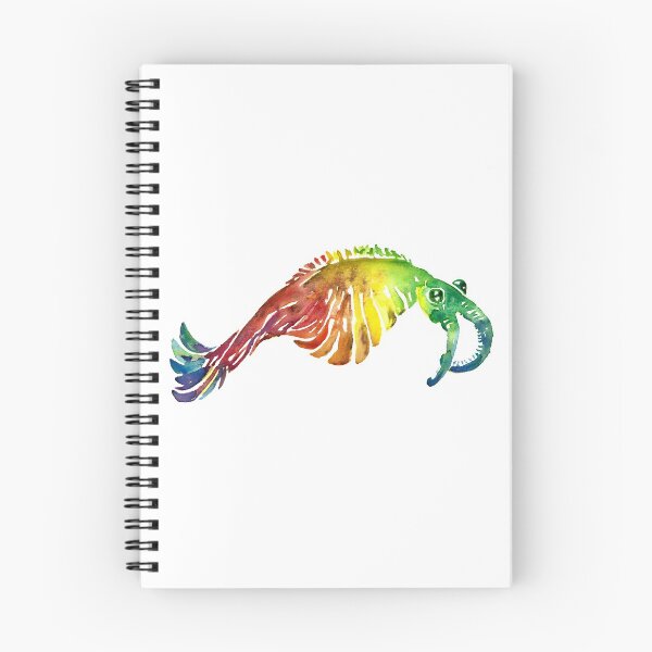 Item preview, Watercolor Fossil Anomalocaris in Rainbow designed and sold by VivtheFish.