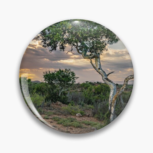 Item preview, Daybreak over Shepherd's tree designed and sold by Rudi Venter.