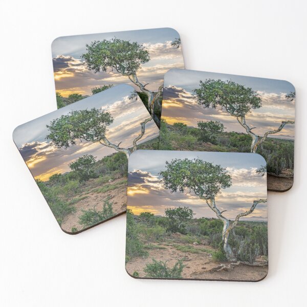 Item preview, Daybreak over Shepherd's tree designed and sold by Rudi Venter.