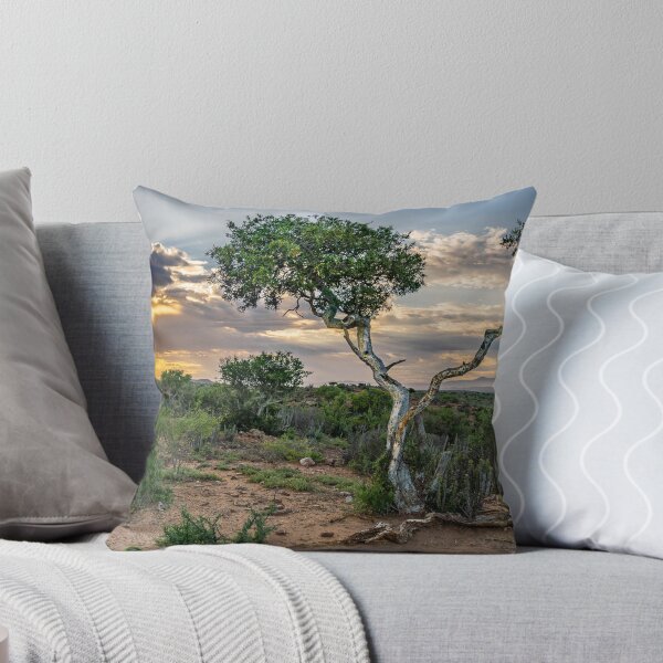 Item preview, Daybreak over Shepherd's tree designed and sold by Rudi Venter.