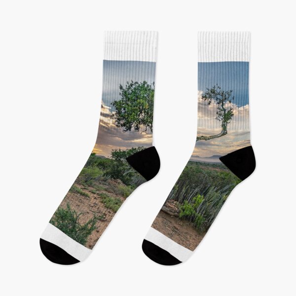 Item preview, Daybreak over Shepherd's tree designed and sold by Rudi Venter.