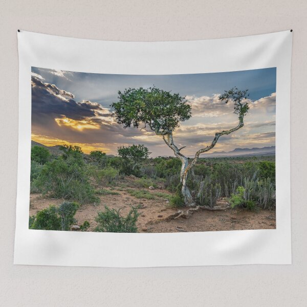 Item preview, Daybreak over Shepherd's tree designed and sold by Rudi Venter.