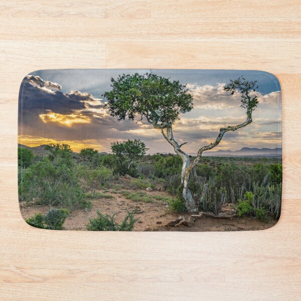 Item preview, Daybreak over Shepherd's tree designed and sold by Rudi Venter.