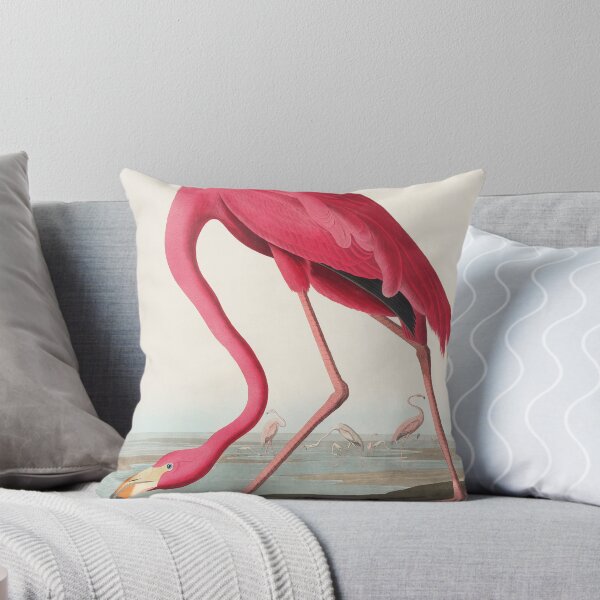 Artikelvorschau, Pink Flamingo von John James Audubon entworfen und verkauft von redoARTstore.