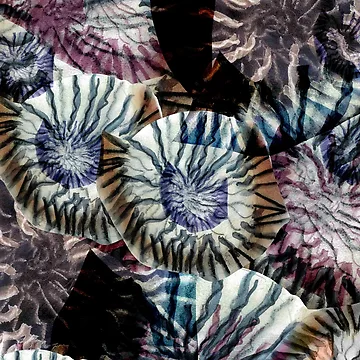 Artwork thumbnail, Shell Mania by RubyPrintDesign
