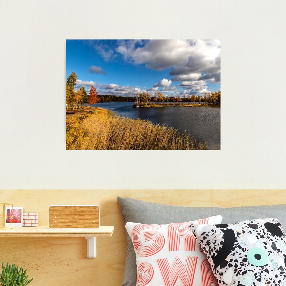 Eine herbstliche Landschaft bei Arjeplog Fotodruck