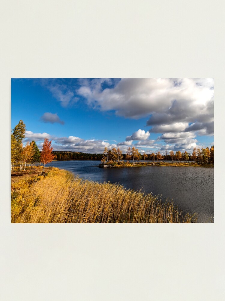 Alternative Ansicht von Eine herbstliche Landschaft bei Arjeplog Fotodruck
