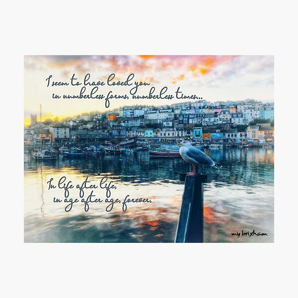 Unending Love in memory of Tommy by My Brixham Photographic Print