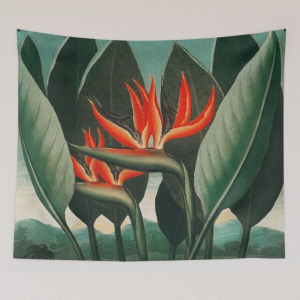 Item preview, Strelizia, The Queen Plant from The Temple of Flora designed and sold by SEEMUELLER.