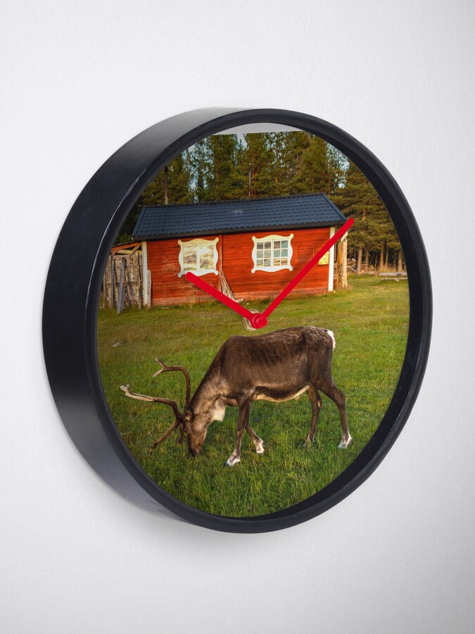 Alternative Ansicht von Ein Rentier in Lappland Uhr