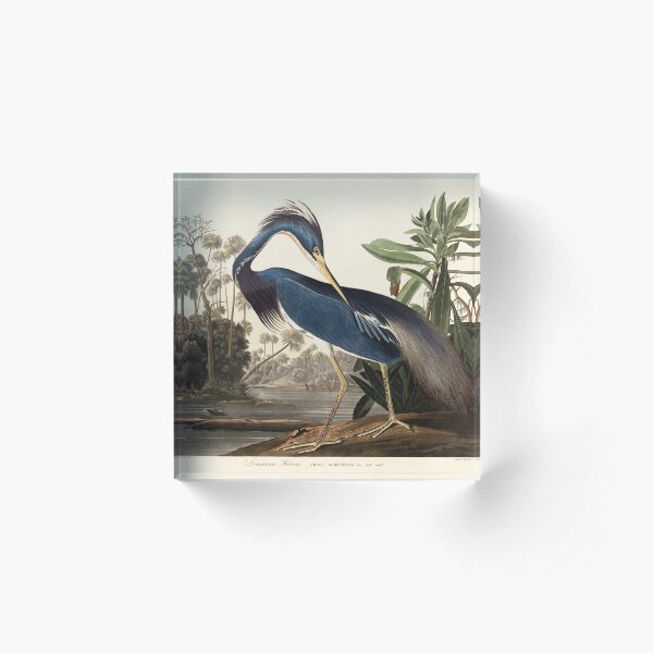 Item preview, Louisiana Heron by John James Audubon  designed and sold by redoARTstore.