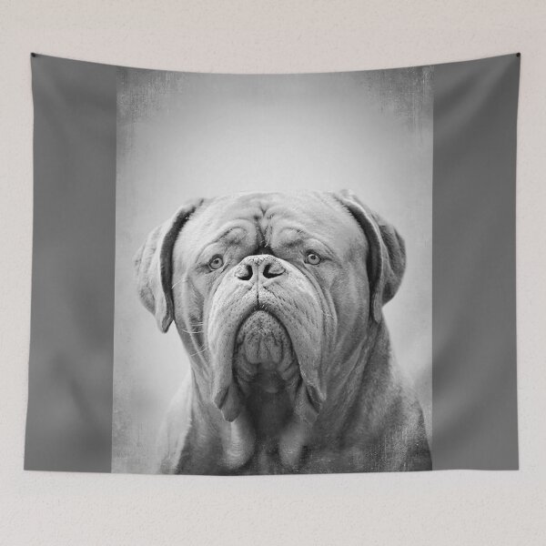 Item preview, Dogue Bordeaux dog - BW Vintage - D30 designed and sold by DecoVintage.