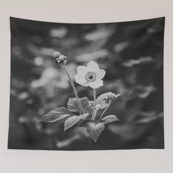 Item preview, Black and White Japanese Anemone Flower designed and sold by Amy Mitchell.