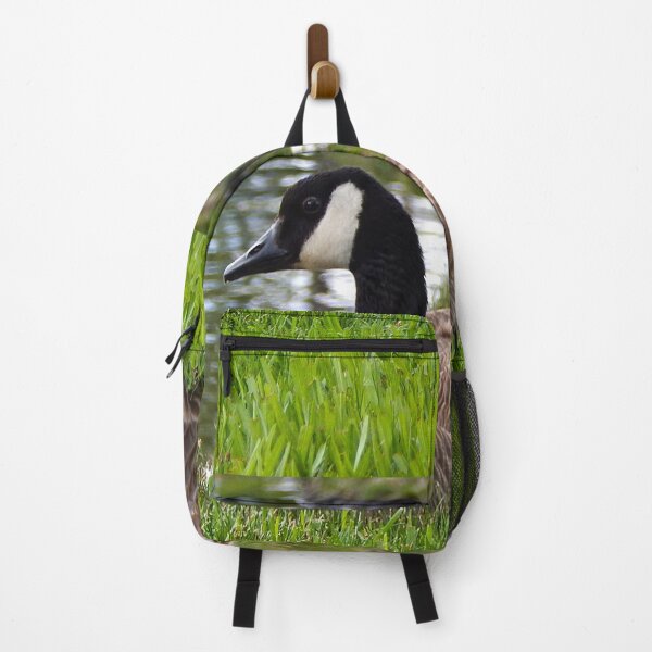 Item preview, canadian goose sitting on the green grass by a pond designed and sold by Stephanie Skeem.