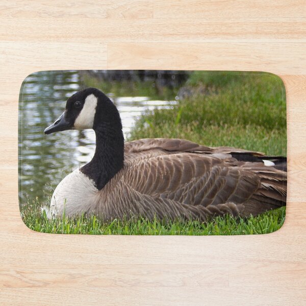 Item preview, canadian goose sitting on the green grass by a pond designed and sold by Stephanie  Skeem.