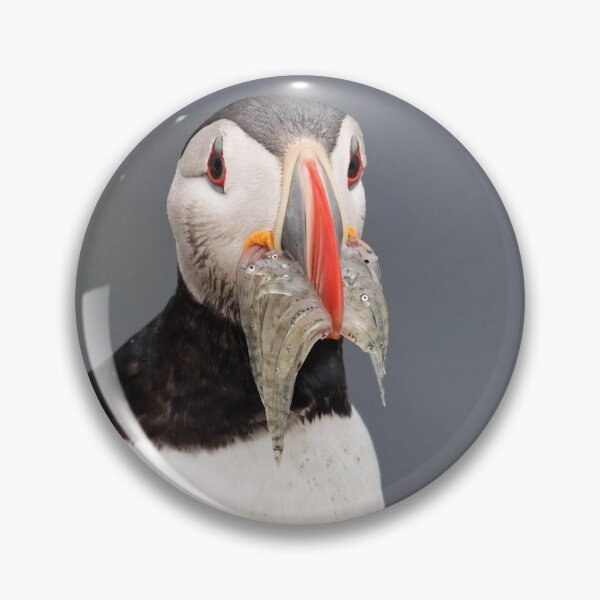 Item preview, Puffin back from fishing designed and sold by Marion Joncheres.