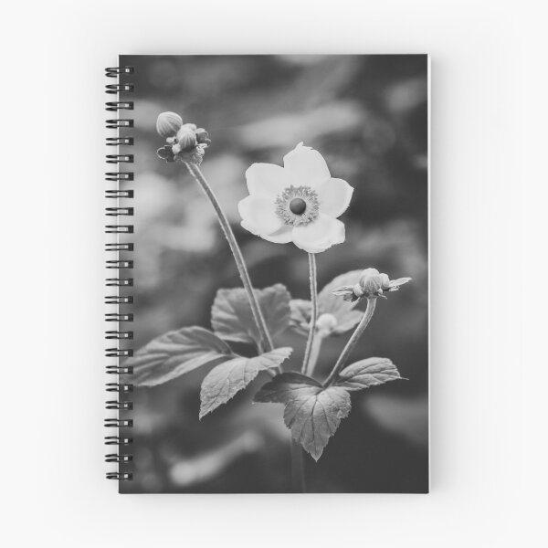 Item preview, Black and White Japanese Anemone Flower designed and sold by Amy Mitchell.