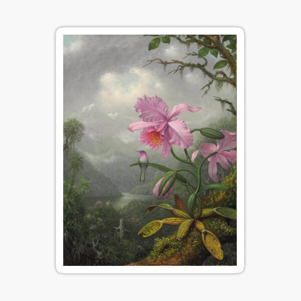 Item preview, Hummingbird Perched on the Orchid Plant (1901) - Martin Johnson Heade designed and sold by SALON DES ARTS.