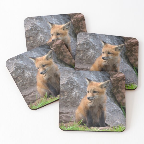 Item preview, Bashful Little Red Fox Kit  designed and sold by Karen Peron.