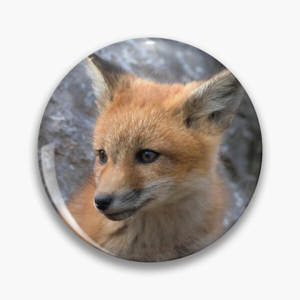Item preview, Bashful Little Red Fox Kit  designed and sold by Karen Peron.