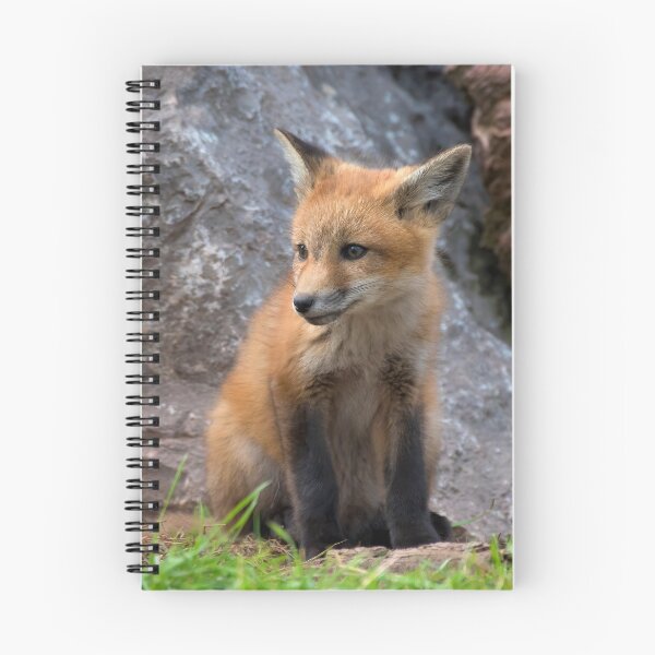Item preview, Bashful Little Red Fox Kit  designed and sold by Karen Peron.