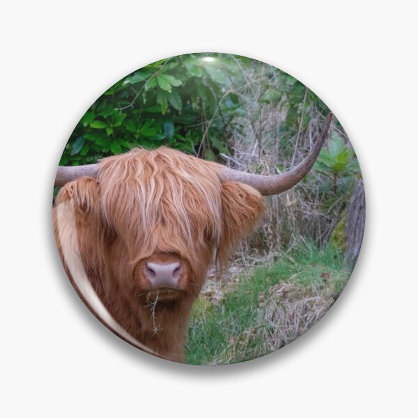 Item preview, Highlander designed and sold by Kohiru.