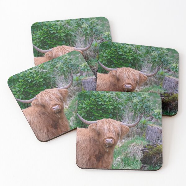 Item preview, Highlander designed and sold by Kohiru.