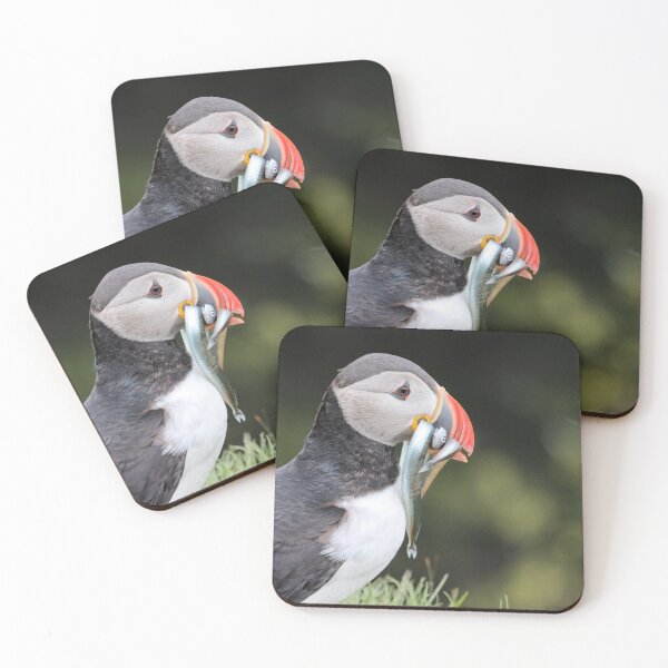Item preview, Puffin is back from fishing designed and sold by Marion Joncheres.